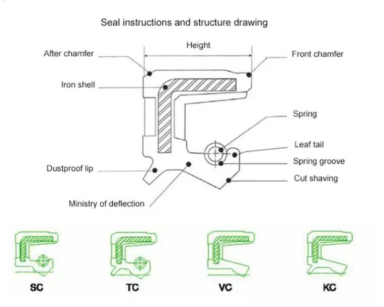 TC Oil Seal
